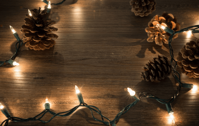 pinecones and christmas lights